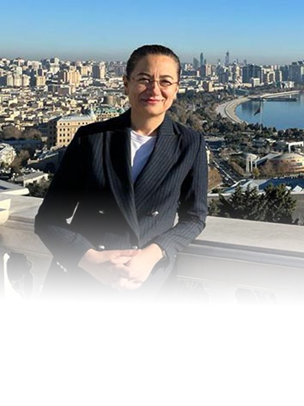 Prof. Dr. Hale Gökcan